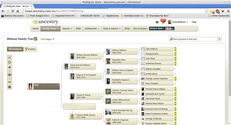 familu search|my family tree search.